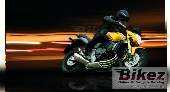 2008 Honda CB 600 F Hornet photo